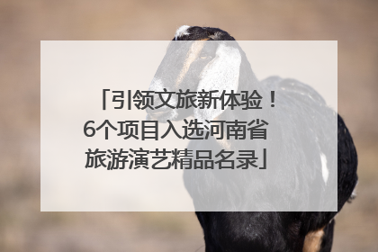 引领文旅新体验！6个项目入选河南省旅游演艺精品名录
